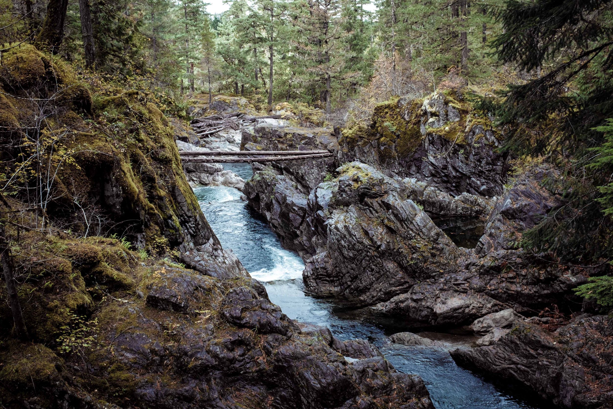 Water flowing near Little Qualicum Falls, Vancouver Island 