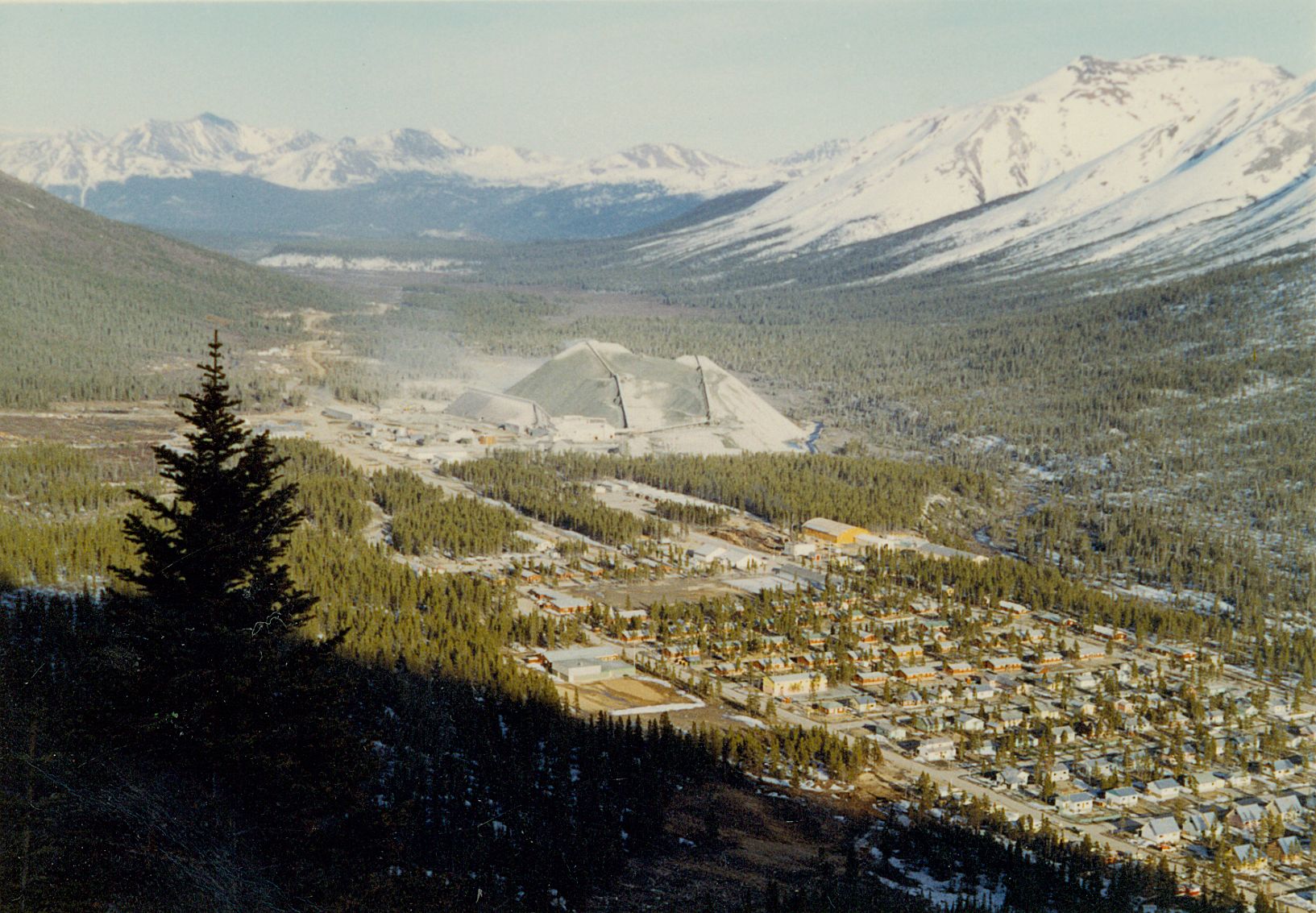 Cassiar townsite with tree shadow in foreground (Photo: Northern BC Archives, UNBC Accession No. 2000.1.1.3.13.04)