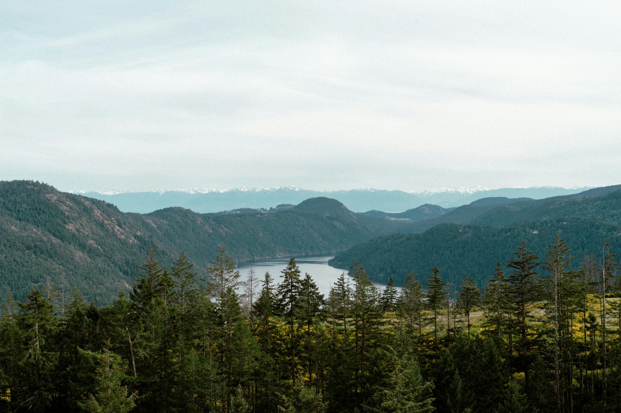 Malahat mountains and forest landscape (Photo: Luka Franzi via Pexels)