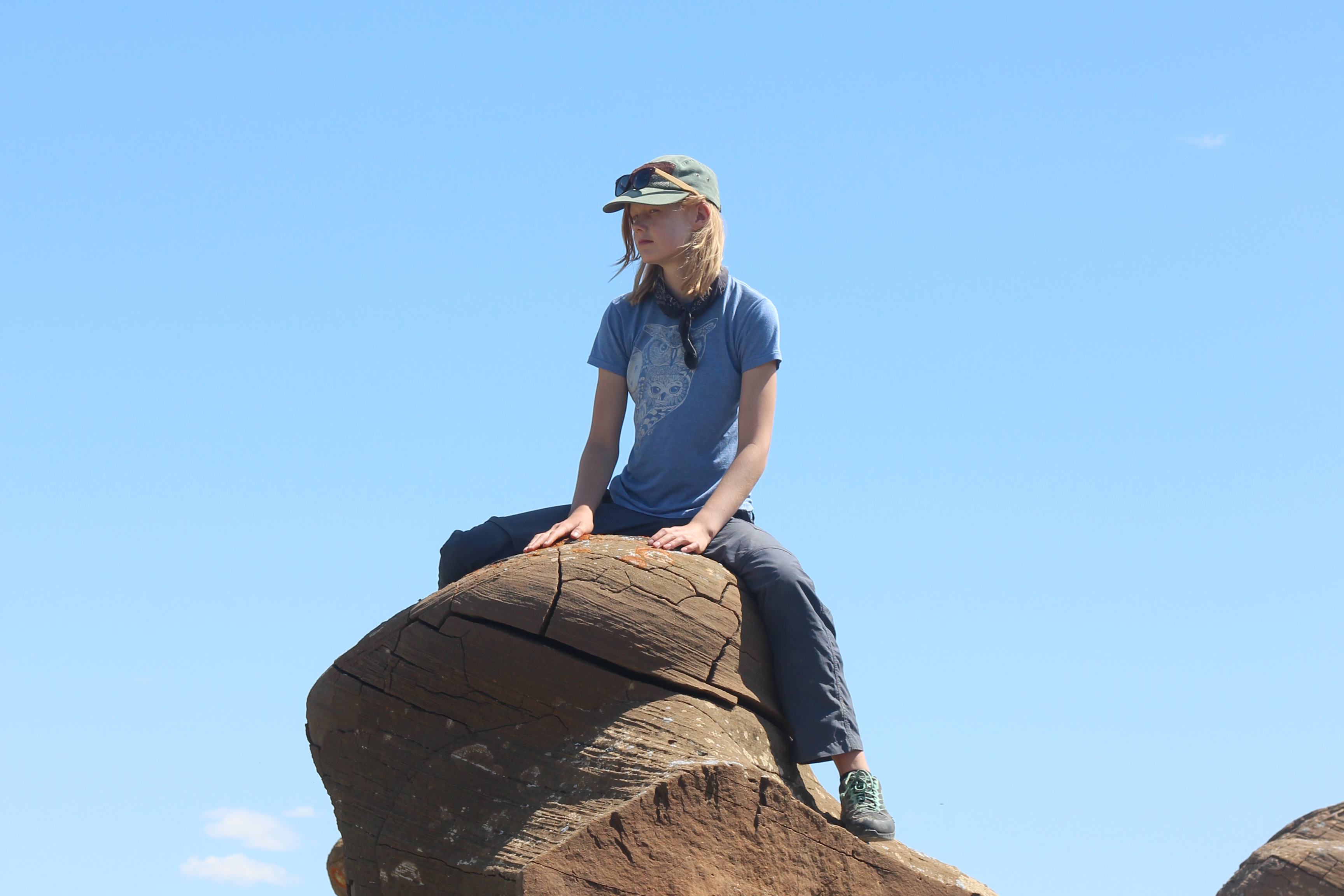 Sadie sitting on a large rock, looking pensive