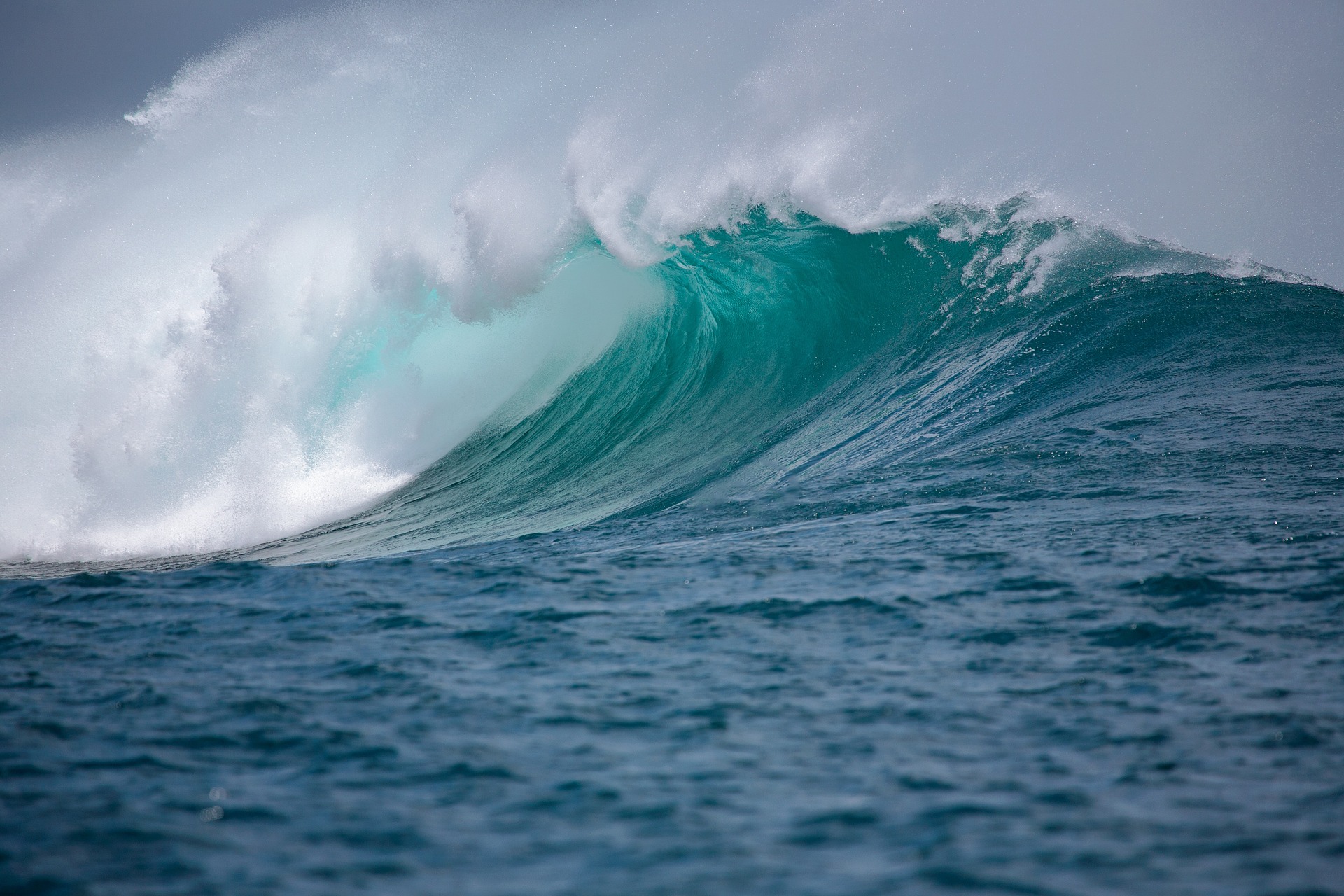 Ocean wave breaking with whitecap