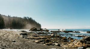 Rocky shoreline with trees