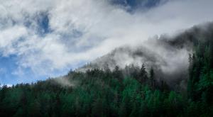 Clouds rolling over a forested hillside
