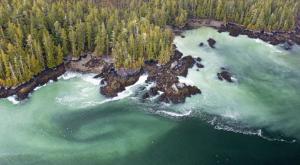 A rocky forest-covered coastline with greenish white waves hitting the shore