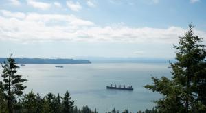 Shipping vessels in the ocean with trees in foreground