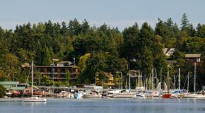 Brentwood Bay shores, Saanich Inlet