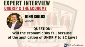 Title graphic with text "Expert Interview: UNDRIP & the Economy" with John Gailus, Lawyer