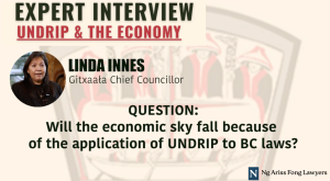 Title graphic with text "Expert Interview: UNDRIP & the Economy" with Linda Innes, Gitxaała Chief Councillor