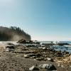 Rocky shoreline with trees