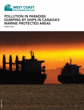 Pollution in Paradise publication cover page