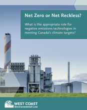 Net Zero or Net Reckless