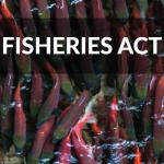 Fisheries Act review
